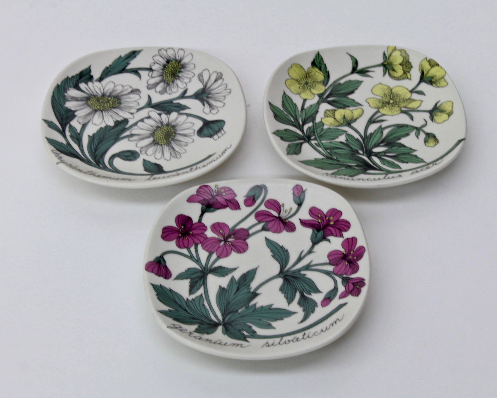 Esteri Tomula Botanica wall plates 3 pcs – Bisarri
